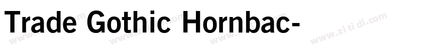 Trade Gothic Hornbac字体转换